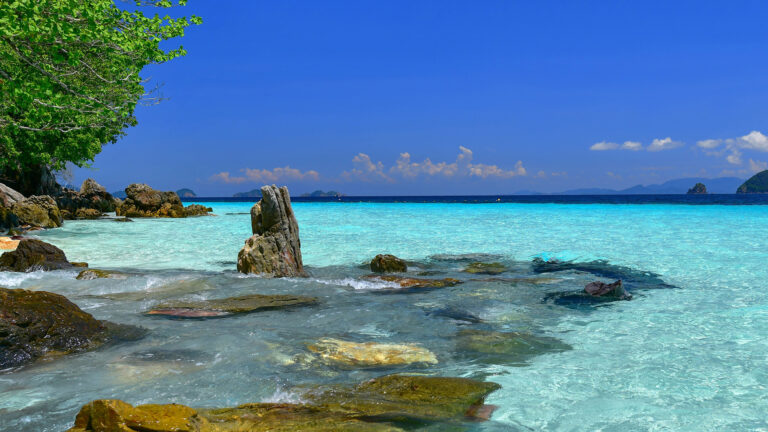beaches-main-banner