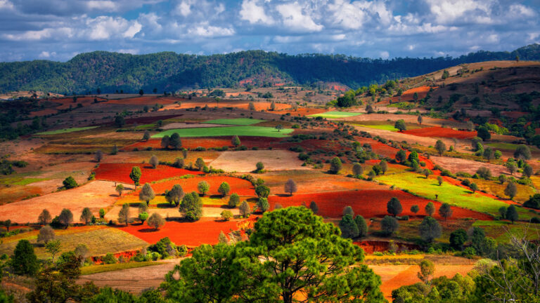 Kalaw