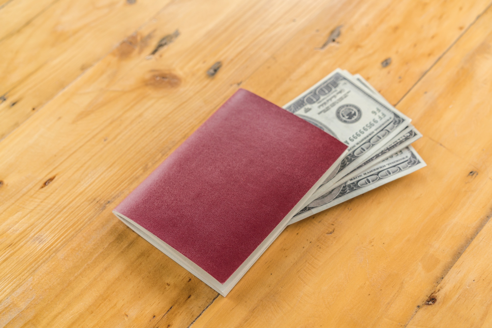visa