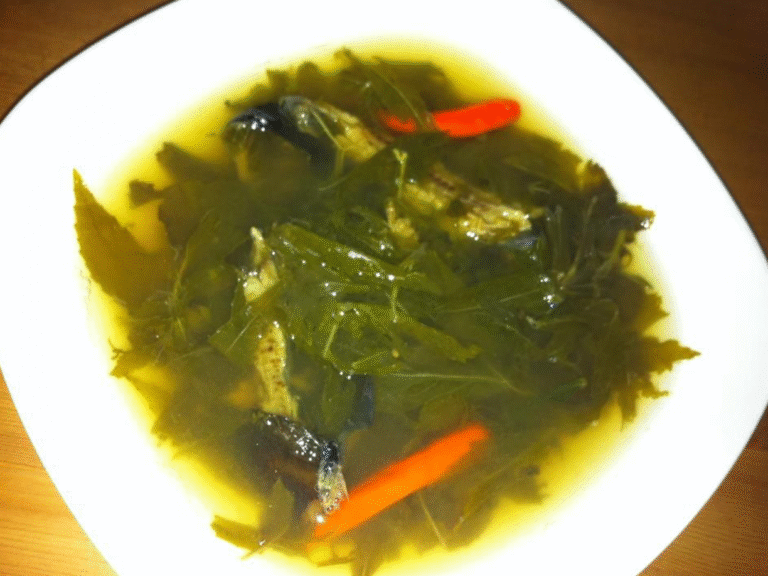 Roselle-soup