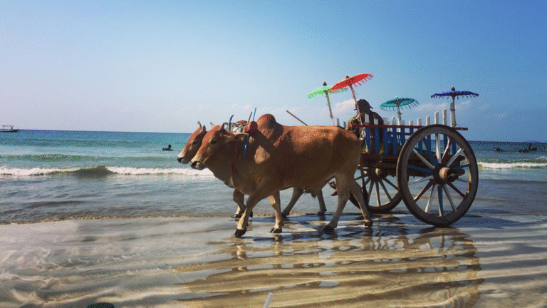 ngwe-saung-beach-05